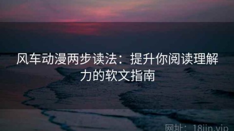 风车动漫两步读法：提升你阅读理解力的软文指南