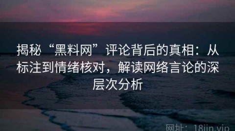 揭秘“黑料网”评论背后的真相：从标注到情绪核对，解读网络言论的深层次分析