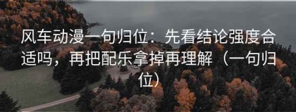 风车动漫一句归位：先看结论强度合适吗，再把配乐拿掉再理解（一句归位）