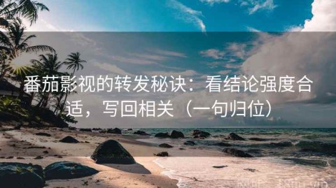 番茄影视的转发秘诀：看结论强度合适，写回相关（一句归位）