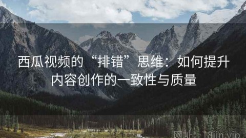 西瓜视频的“排错”思维：如何提升内容创作的一致性与质量
